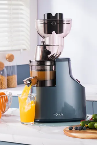 Exprimidor de frutas (LIQUIDACION TOTAL)